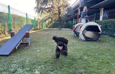 AENA installs the first “Pet Park” in a Spanish Airport 
