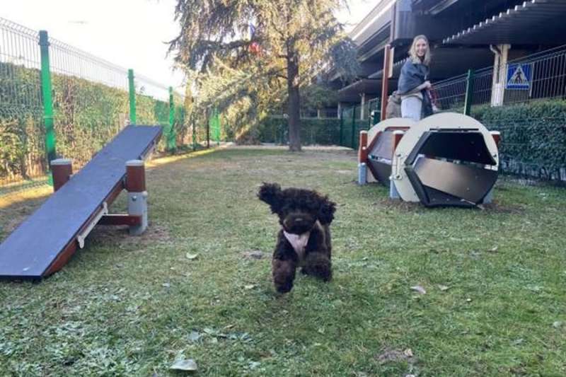 AENA installs the first “Pet Park” in a Spanish Airport 
