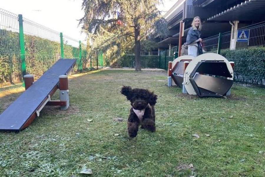 AENA installs the first “Pet Park” in a Spanish Airport 