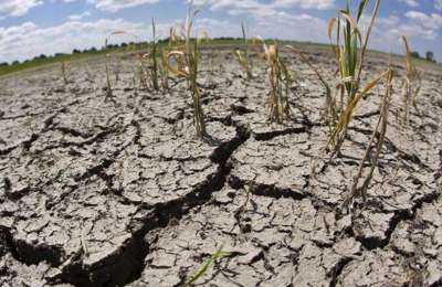 Tenerife to declare water emergency on Friday due to extreme drought