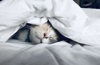 Transforming Your Sleep: How to Get Rid of Back Pain Every Night