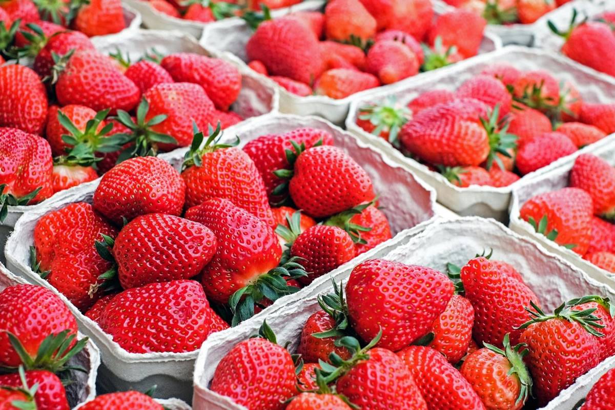 Health alert across Spain due to strawberries contaminated with Hepatitis A 