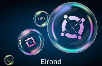 A Strategic Guide: Maximizing Your Elrond (EGLD) Investments