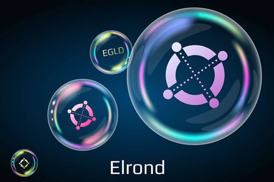A Strategic Guide: Maximizing Your Elrond (EGLD) Investments