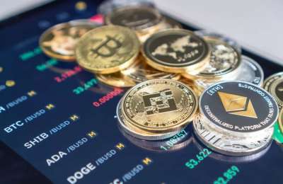 A Wealthy Investor's Companion: Bitcoin and Specialised Altcoins