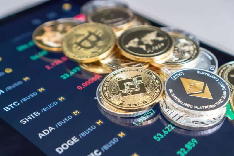 A Wealthy Investor's Companion: Bitcoin and Specialised Altcoins