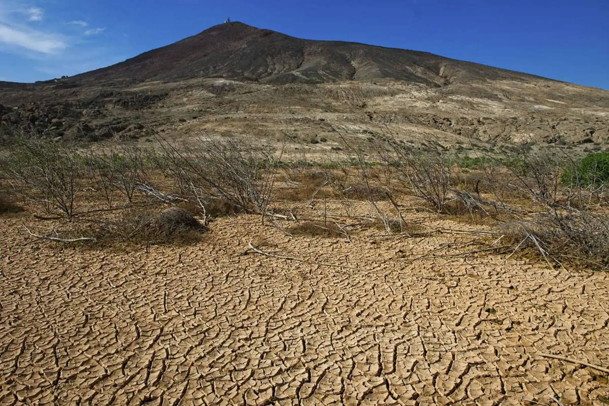 Drought is “desertifying” six square kilometres of land in the Islands every year