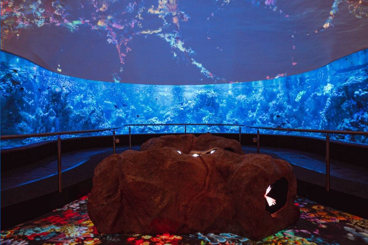 Loro Parque unveils Coral Kingdom the largest reef outside the ocean Loro Parque unveils Coral Kingdom the largest reef outside the ocean