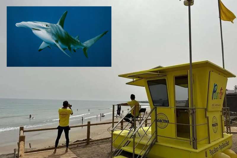 Yellow flag on a beach in Fuerteventura for sharks 