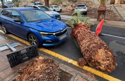 The DANA makes its presence felt across the Canary Islands