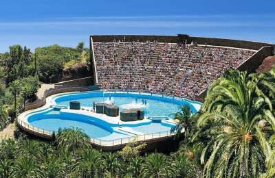 Aspro appeals to Supreme Court as last resort to avoid demolition of illegal dolphinarium