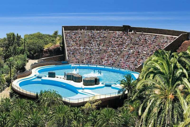 Aspro appeals to Supreme Court as last resort to avoid demolition of illegal dolphinarium