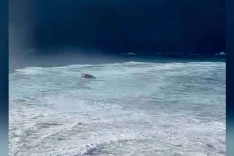 Is this the unluckiest man in the Canary Islands?
