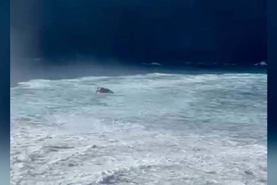 Is this the unluckiest man in the Canary Islands?