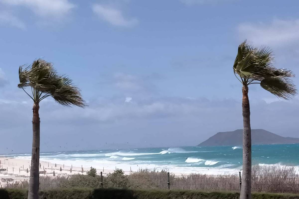 High winds forecast in the Canary Islands before a possible heatwave