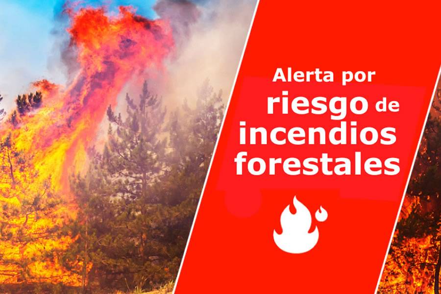 These are all of the active weather warnings and alerts in the Canary Islands