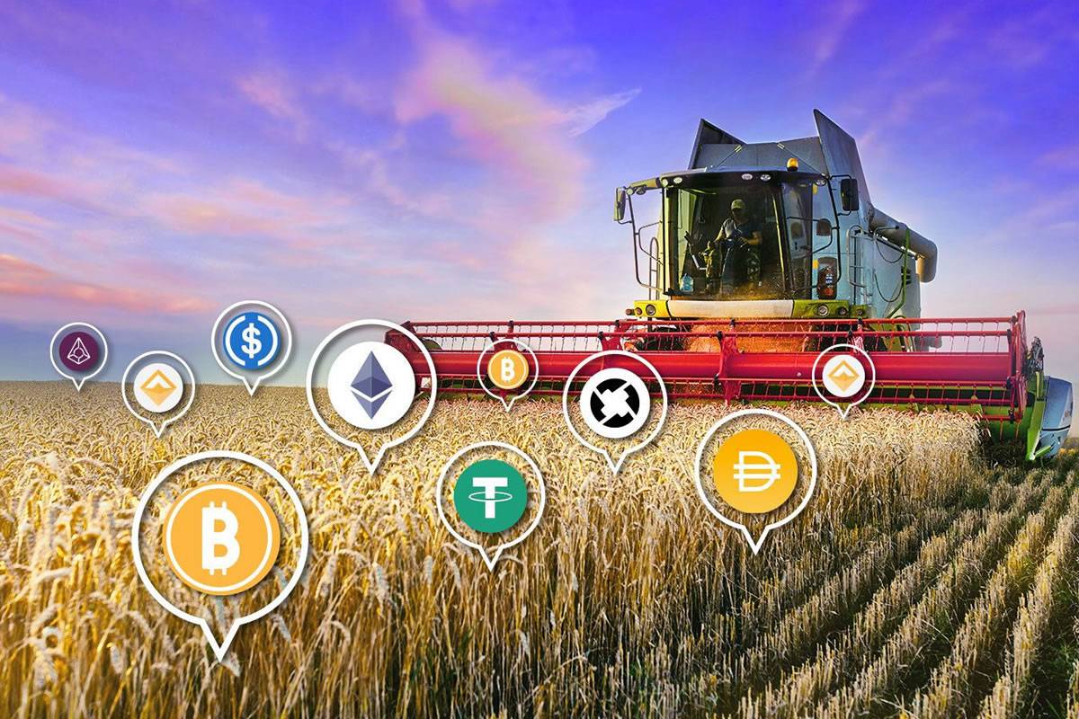 Exploring Yield Farming: A high-risk, high-reward investment strategy