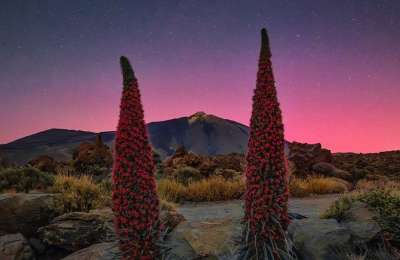 Canary Islands witness the spectacle of the Northern Lights