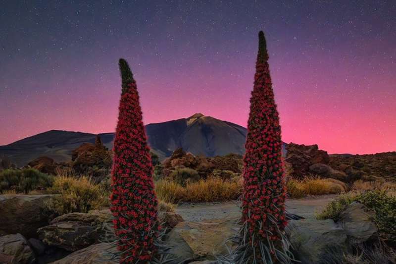 Canary Islands witness the spectacle of the Northern Lights