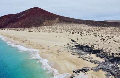Animal spotting in the Canary Islands should be next on your bucket list