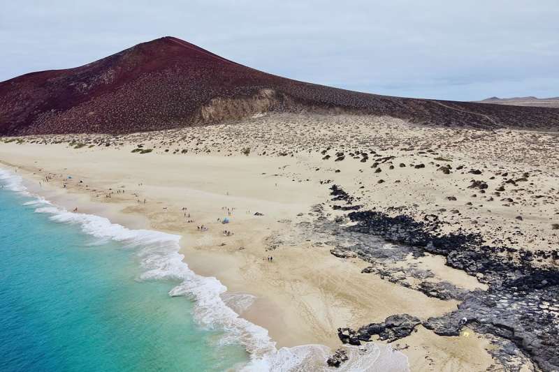 Animal spotting in the Canary Islands should be next on your bucket list