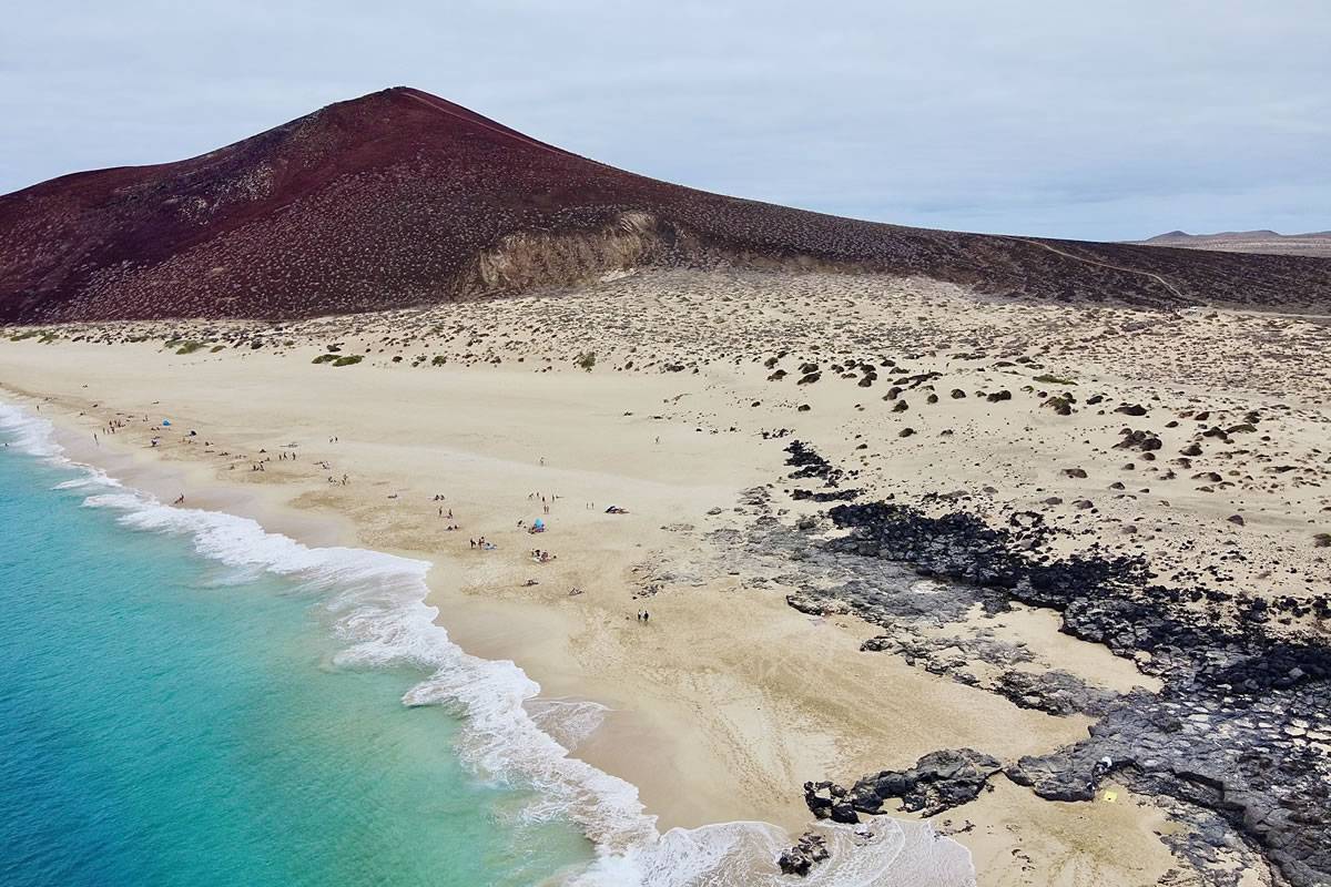Animal spotting in the Canary Islands should be next on your bucket list