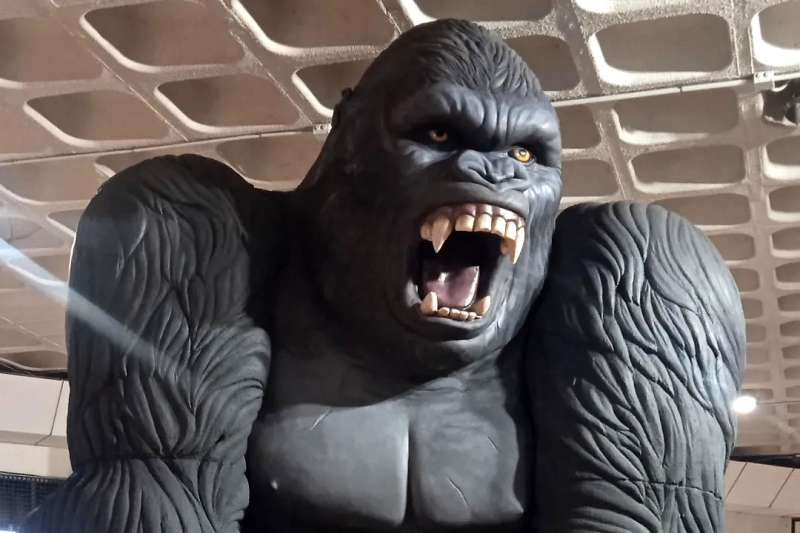 King Kong, the world's most iconic ‘movie monster’, arrives in Los Cristianos