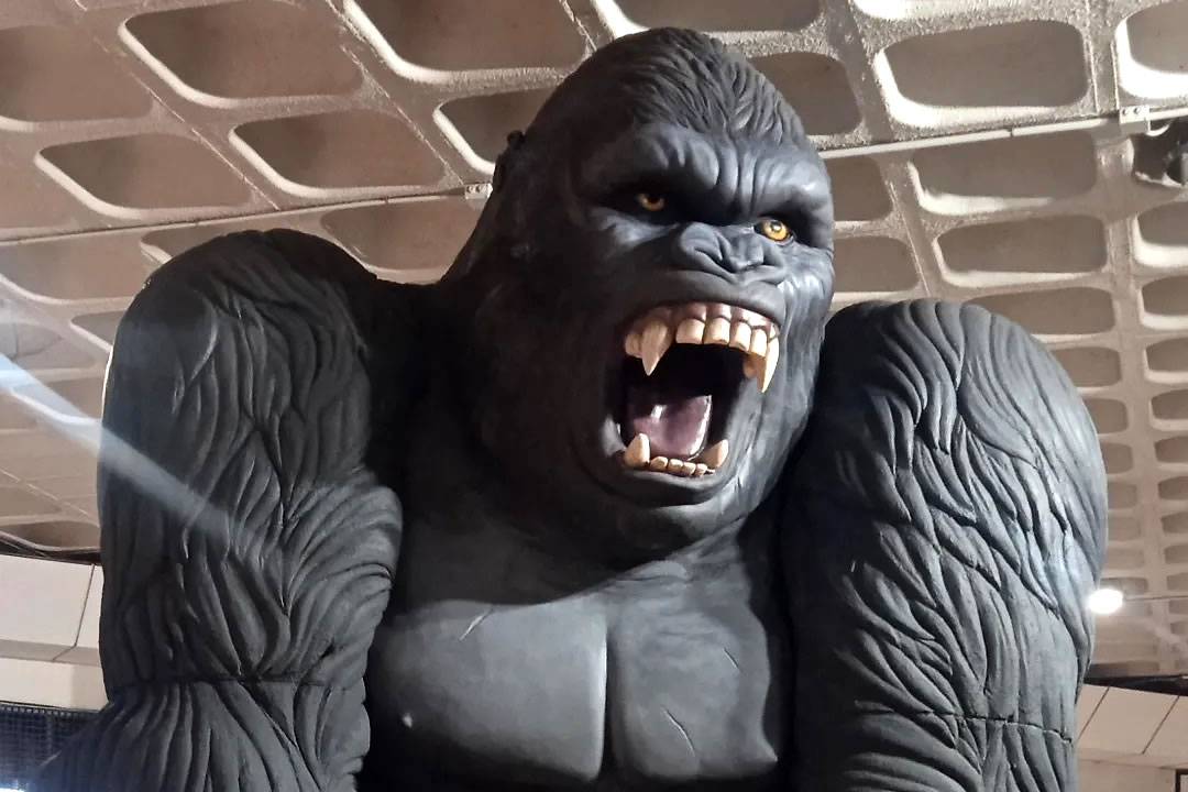 King Kong, the world's most iconic ‘movie monster’, arrives in Los Cristianos