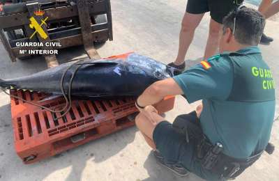 15 ‘recreational’ fishing boats sanctioned up to €60,000 for illegally catching tuna