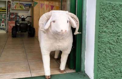 Forget Ale-Hop, welcome to Hierro-Hop 