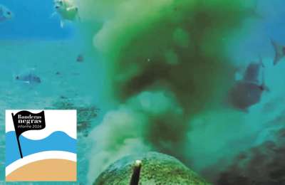 Black Flags Report highlights environmental impact of mass tourism on Canary Islands' coasts