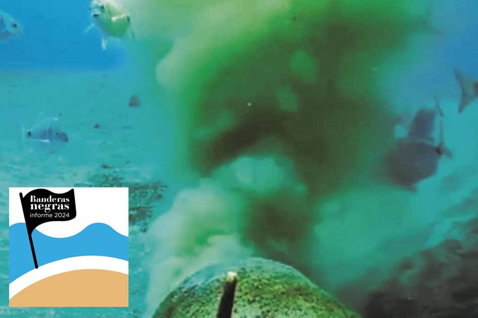 Black Flags Report highlights environmental impact of mass tourism on Canary Islands' coasts