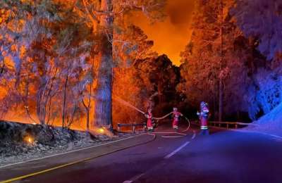 Extreme drought raises forest fire risk in the Canary Islands