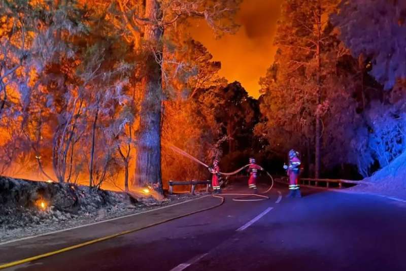 Extreme drought raises forest fire risk in the Canary Islands