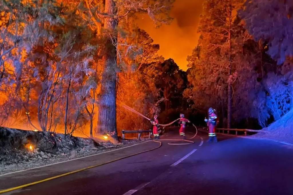 Extreme drought raises forest fire risk in the Canary Islands