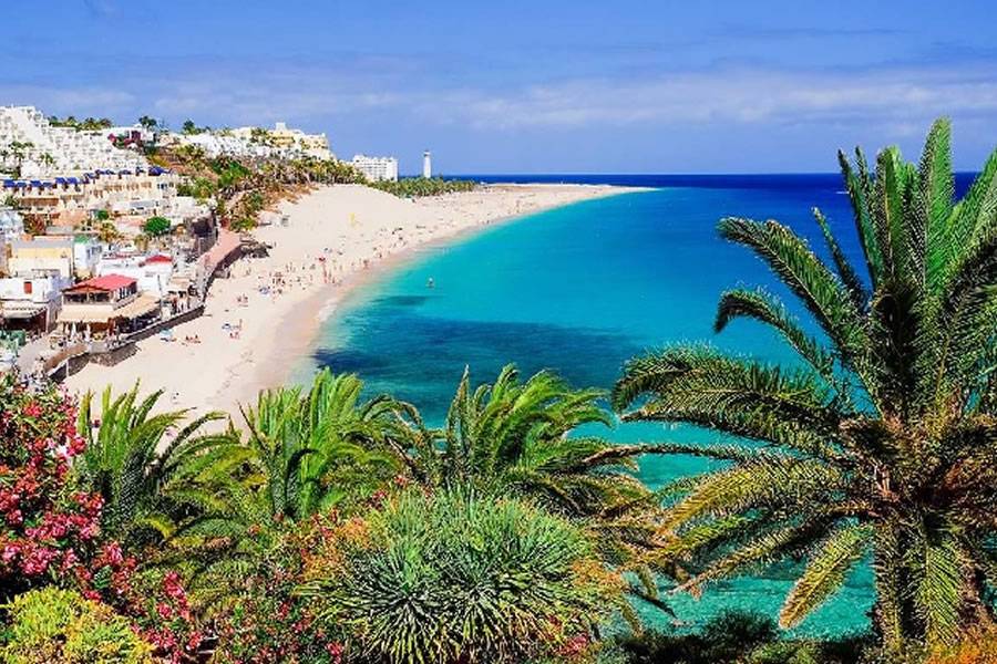 Paradise Found: Unveiling the Magic of the Canary Islands