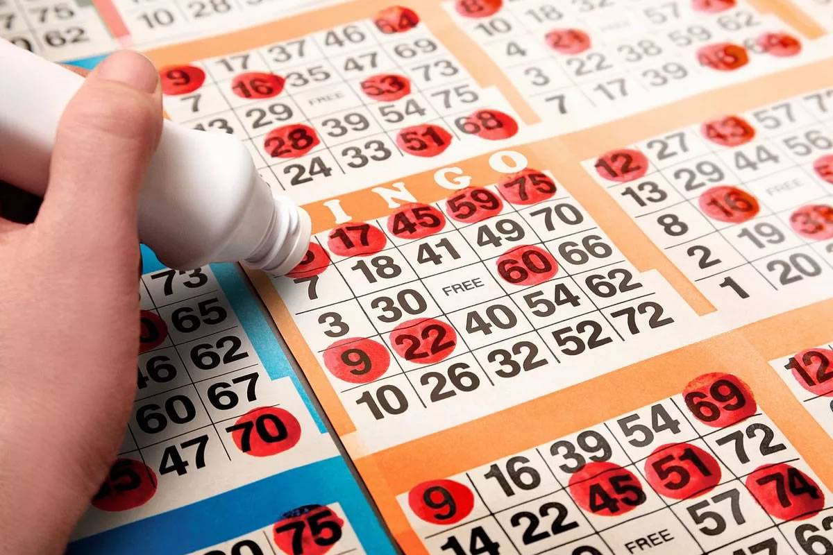 Discover the vibrant Bingo scene in Tenerife