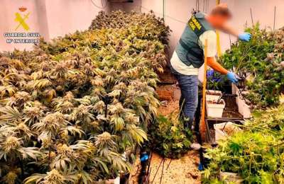 Four illegal cannabis clubs disguised as ‘Smokers Association’ raided in south Tenerife