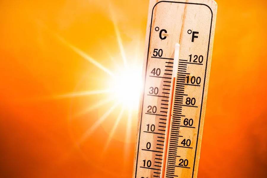Mini heatwave causes health warnings for high temperatures in the Canary Islands