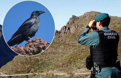 Masca locals say that crows would give away Jay Slaters location if he’s dead in the valley