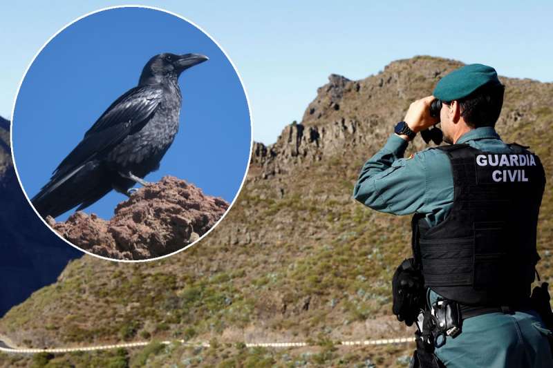 Masca locals say that crows would give away Jay Slaters location if he’s dead in the valley