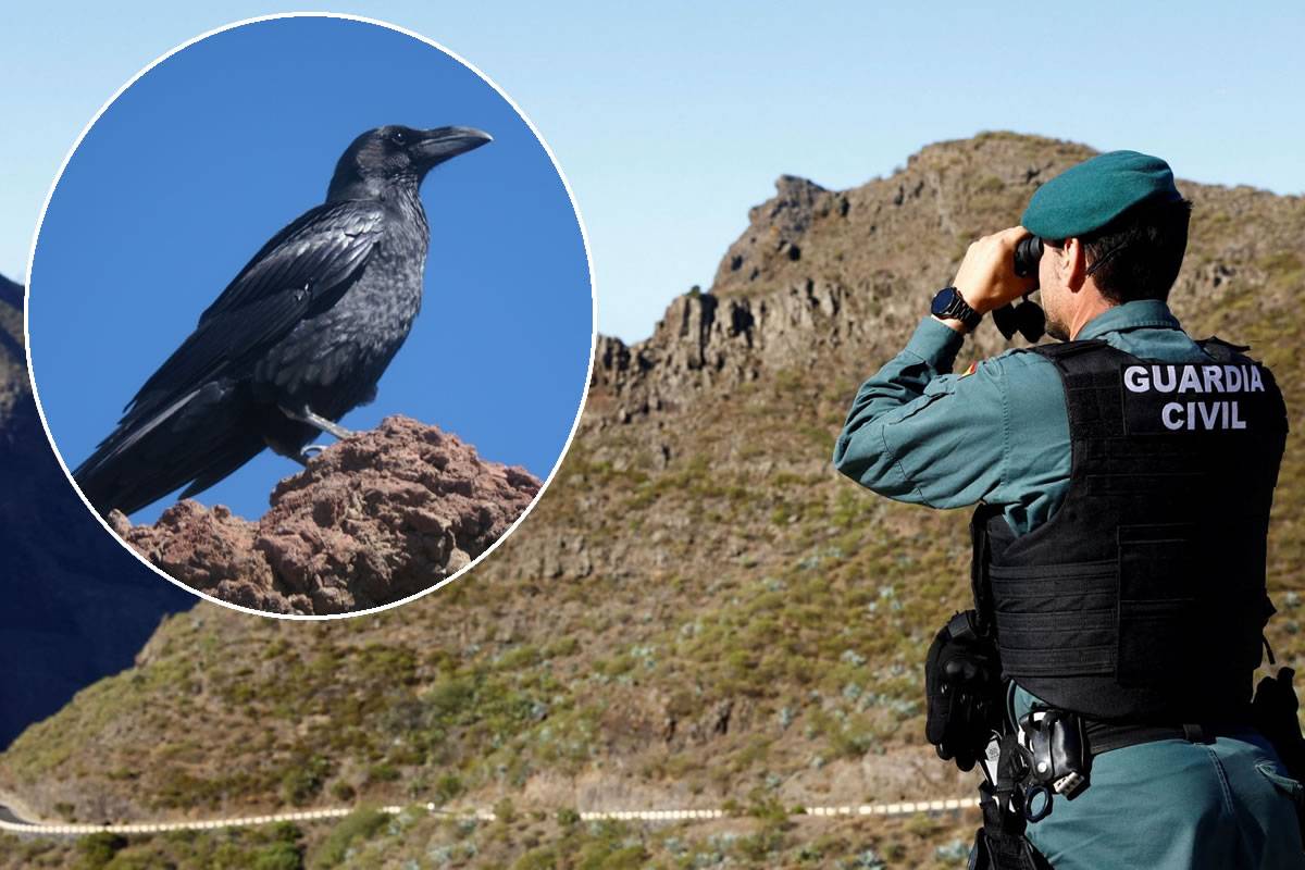Masca locals say that crows would give away Jay Slaters location if he’s dead in the valley