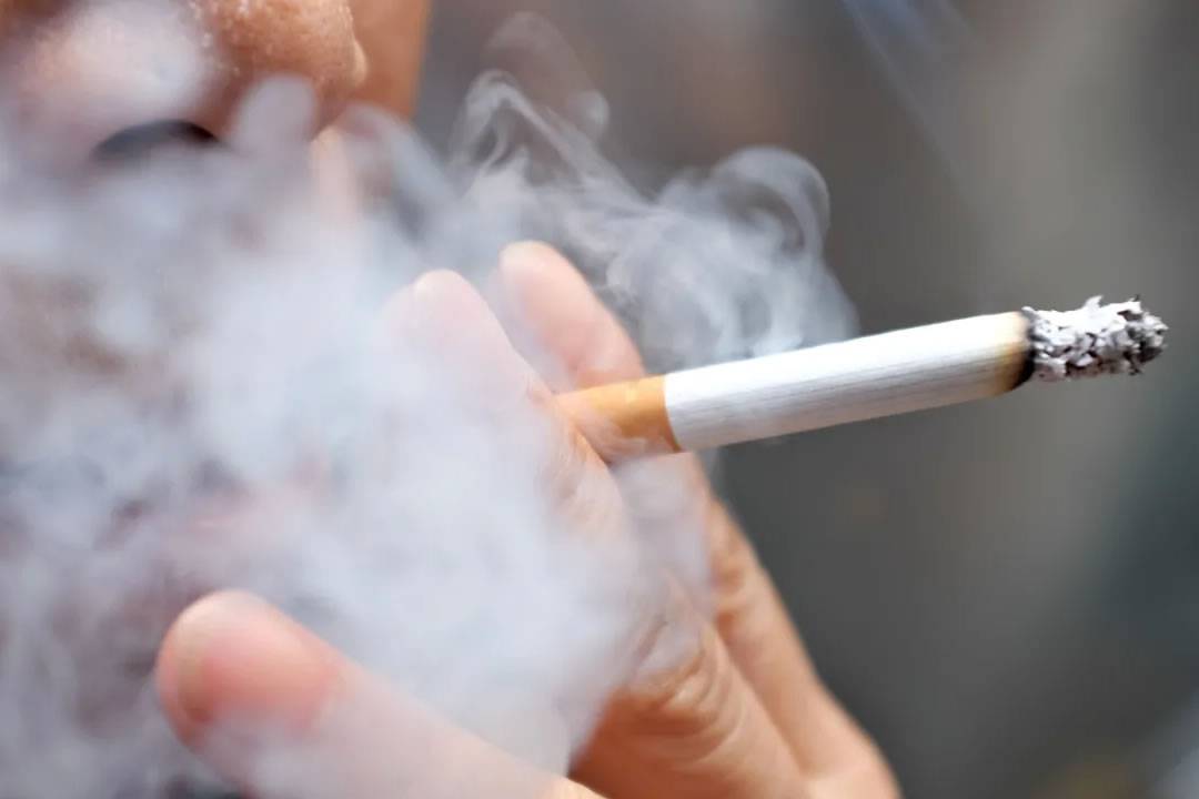 Smoking banned in natural outdoor areas amidst high fire risk