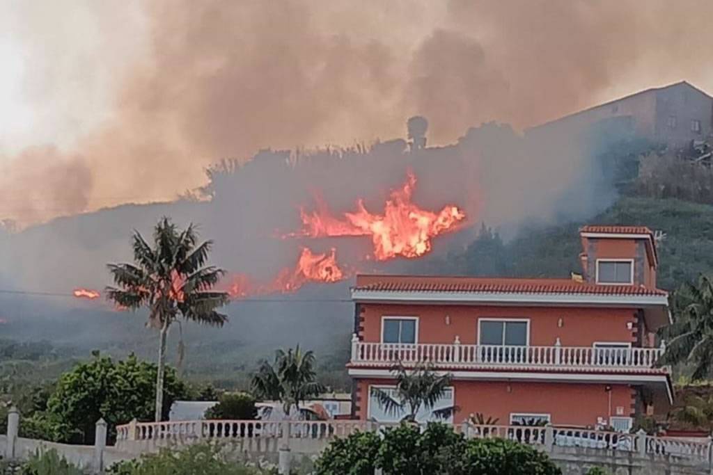 BREAKING: Firefighters are battling a blaze at the forests edge in Tenerife