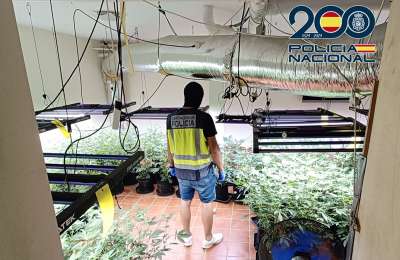 Two Brits arrested for large scale marijuana cultivation in the south of Tenerife