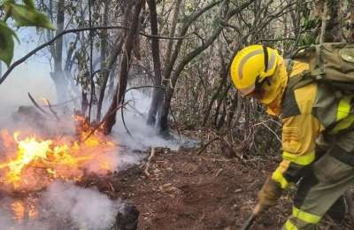 Man arrested for causing three forest fires in Tenerife