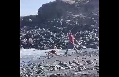 VIDEO: Holidaymakers stunned as pickpocket is attacked on a Tenerife beach with a stick