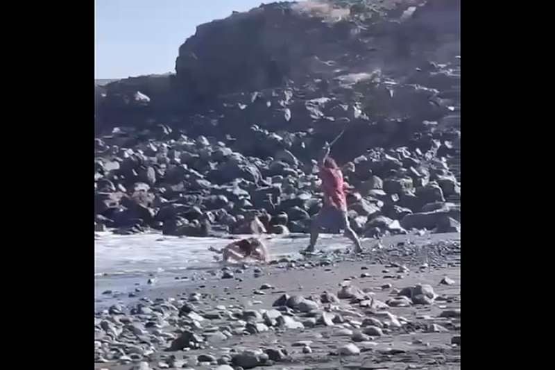 VIDEO: Holidaymakers stunned as pickpocket is attacked on a Tenerife beach with a stick