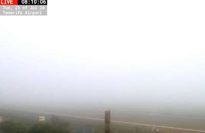 Dense fog disrupts more flights at Tenerife North Airport 