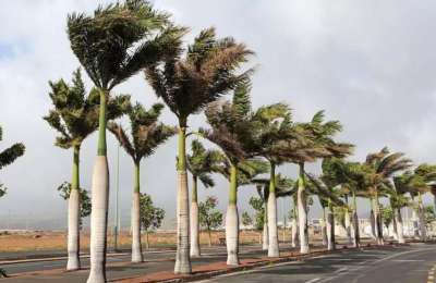 Cooler temperatures and strong winds expected in the Canary Islands this Tuesday